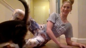 Cat Lady Workout Party